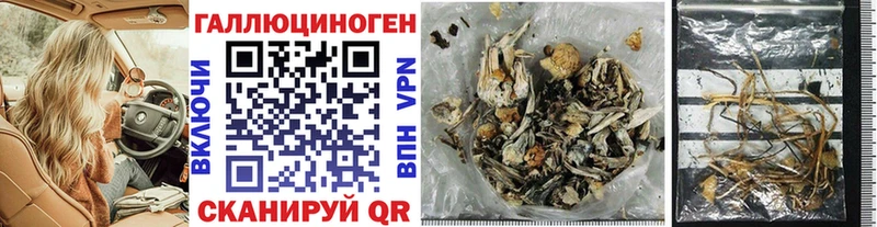 купить  сайты  Старая Русса  Псилоцибиновые грибы Magic Shrooms 