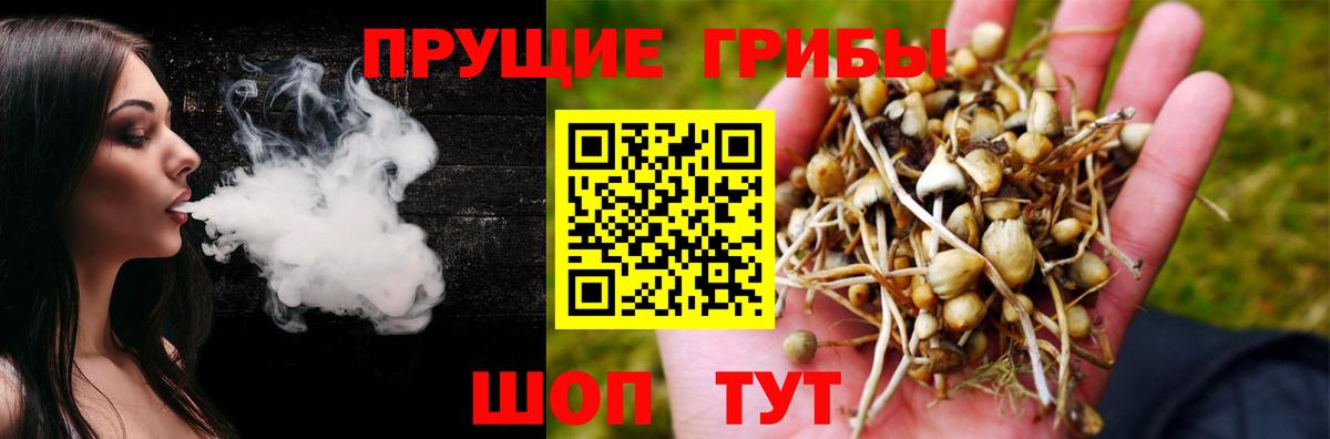 Кокаин  Герыч  Меф  Старая Русса  Вход с VPN  Гарик 