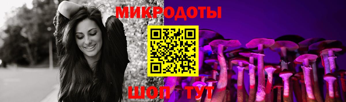 Псилоцибиновые грибы Psilocybine cubensis  Вход с VPN  Псилоцибиновые грибы Psilocybine cubensis  Старая Русса 